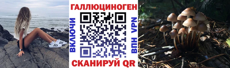 Галлюциногенные грибы мицелий  Иркутск 
