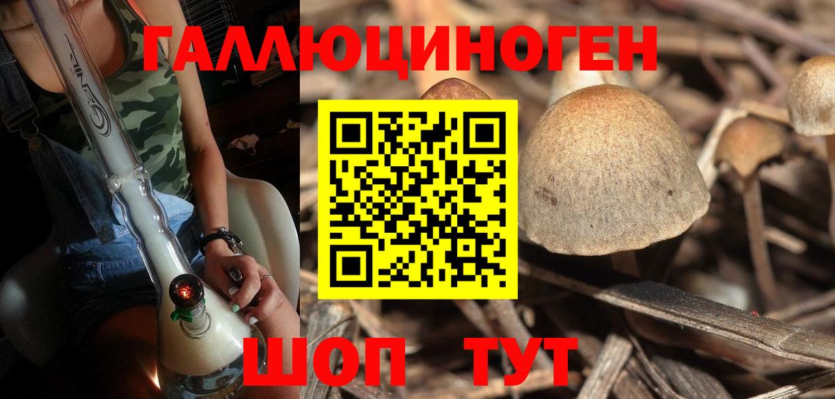 Псилоцибиновые грибы Cubensis Иркутск
